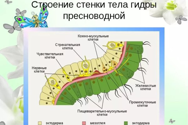 Ссылка на кракен tor