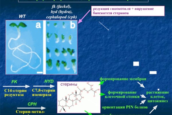 Кракен даркнет ссылка на сайт