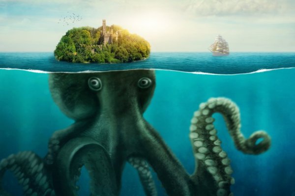 Kraken рынок