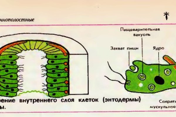 Маркетплейс кракен купить