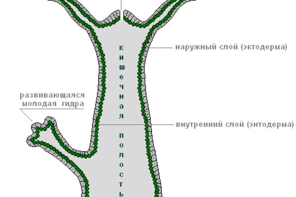 Почему не работает кракен kr2web in